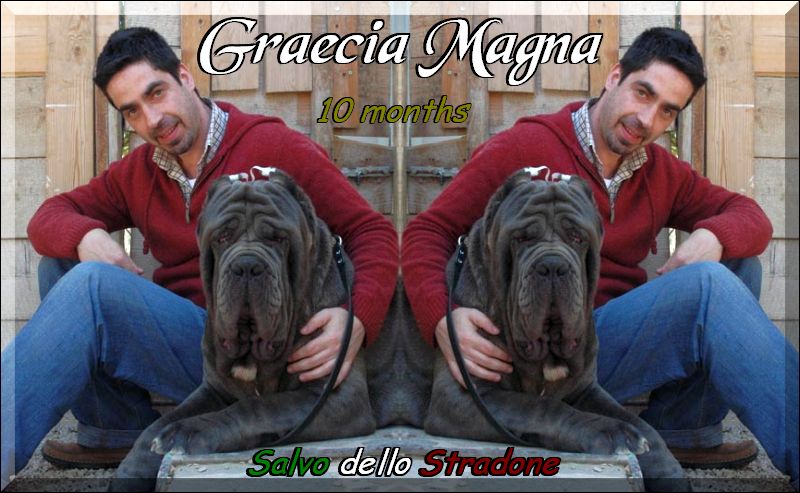 Salvo dello stradone