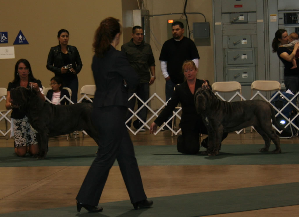 2010-Nationals-56
