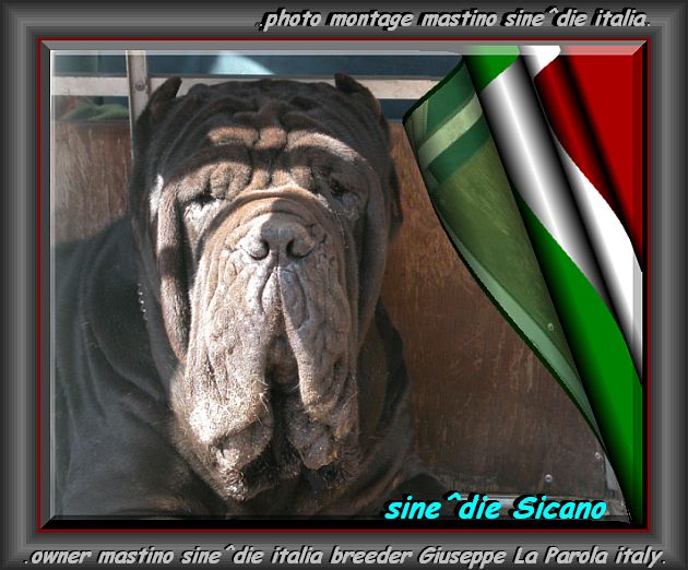sine^die Sicano 630 pixel + cornice grigia