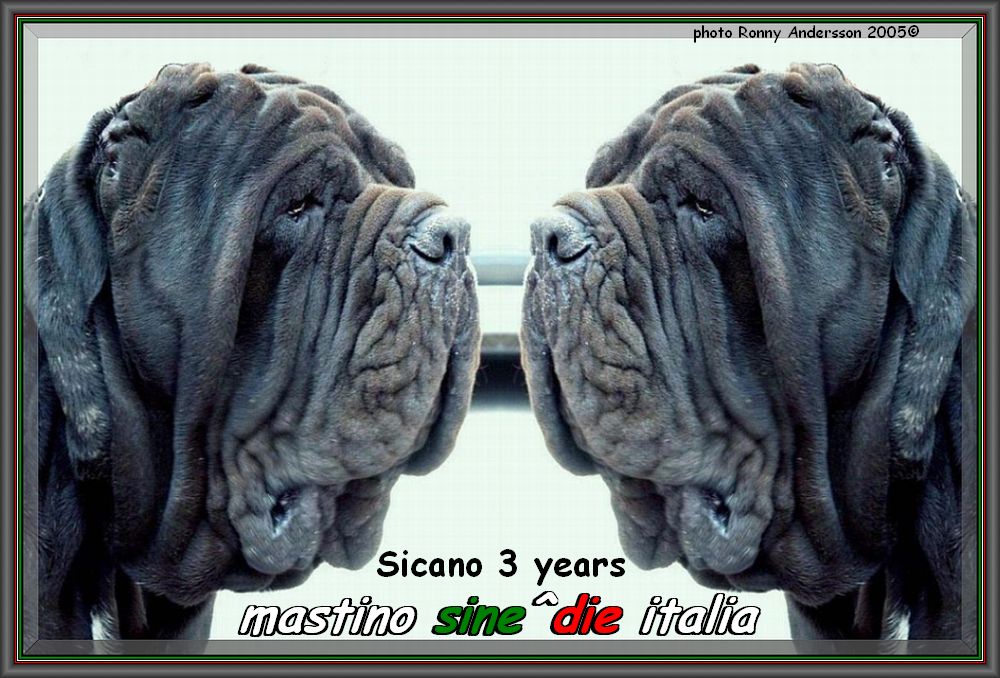 Sicano sine^die 3 Years photo Ronny Andersson 2005