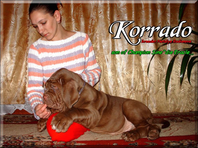 Natalia Rodionova breeder of Korrado,