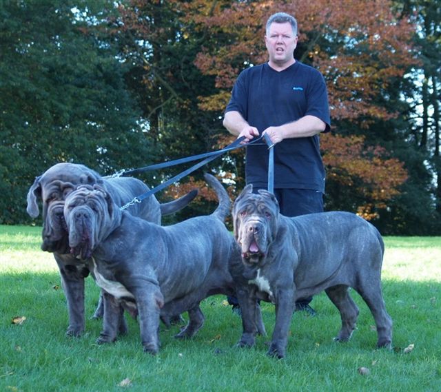 Leo,Nina & Bella 28 10 2006