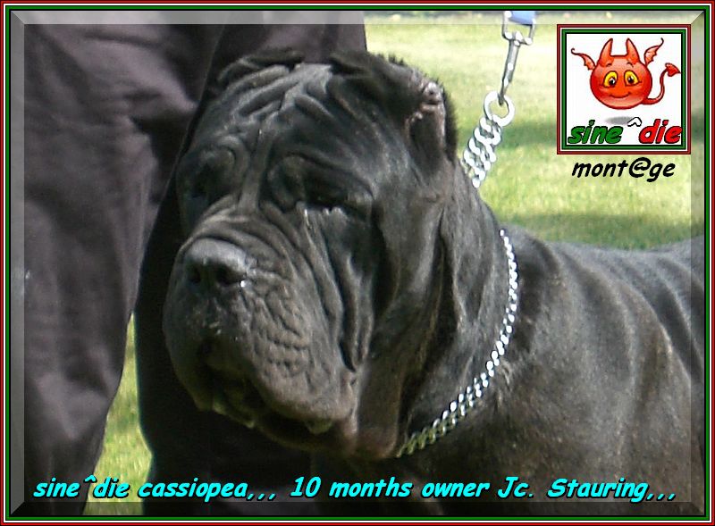 Cassiopea sine^die to 10 months xox
