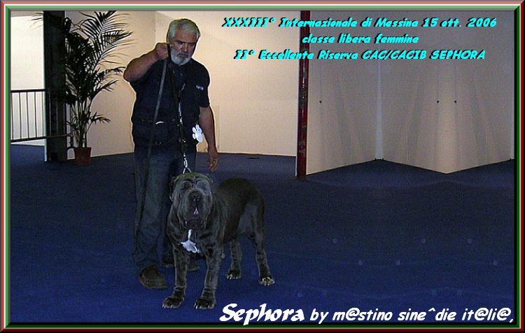 Sephora by sine^die II Res. CAC & CACIB ,,,,,