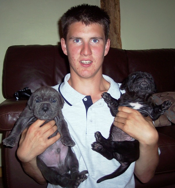 Matt Cox with Alfie and Giada from Hartu and Circe pups 02 07 2008 092