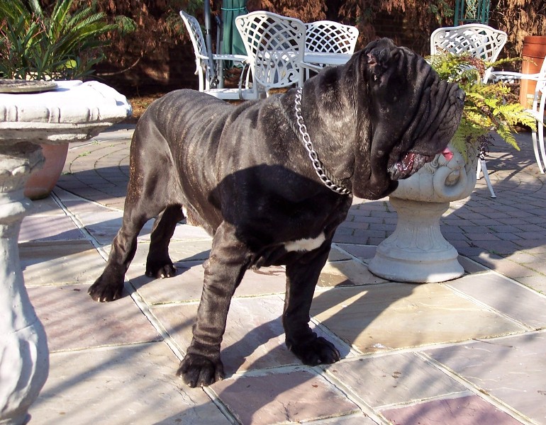 Copy of 04 04 2008 020