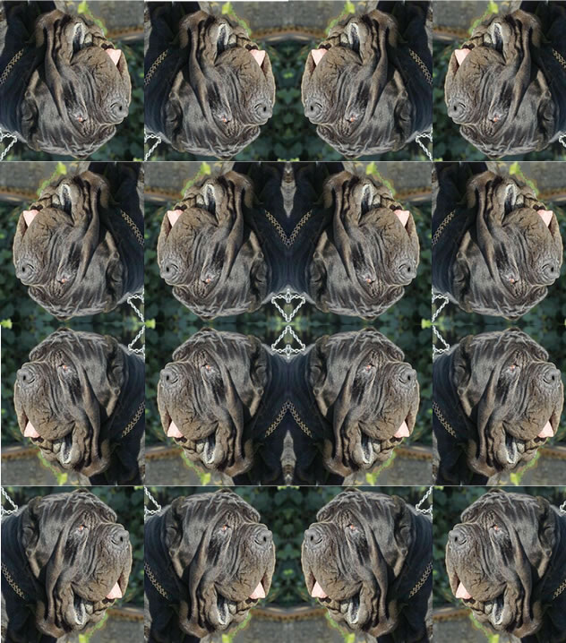 sicanoupsidedown_views