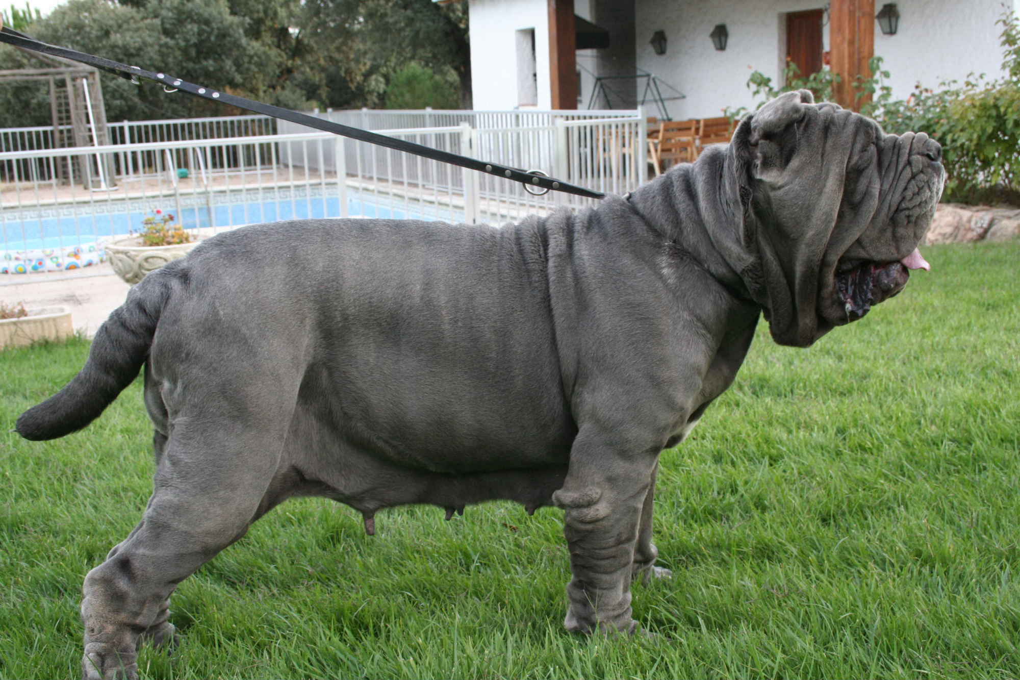 BEATRICE DI FONDO ANFOSSI