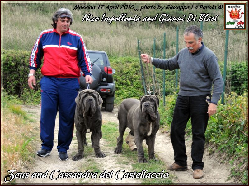 New Joining Zeus and Cassandra,