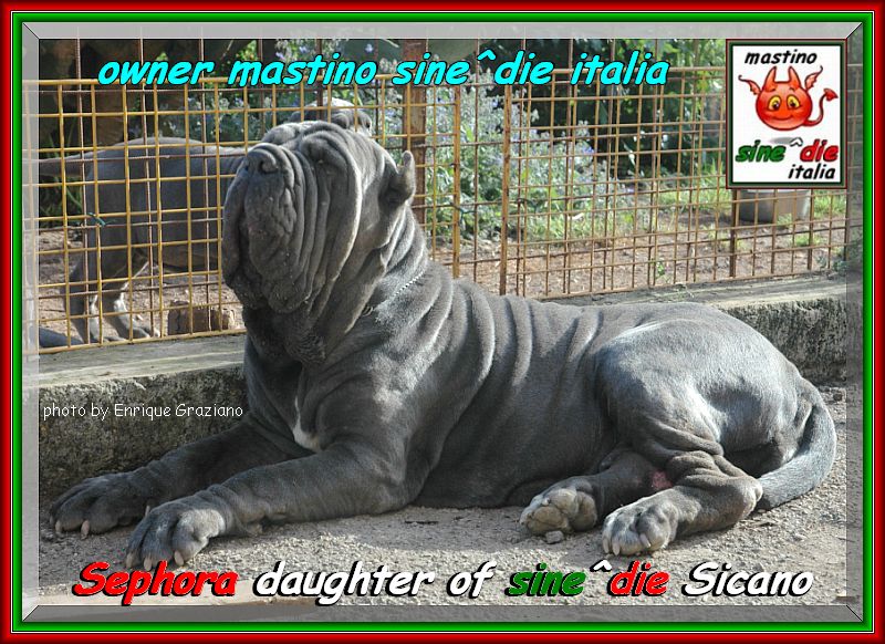 2007 sine^die visto da Enrique Graziano nella foto Sephora by sine^die daughter of Sicano,