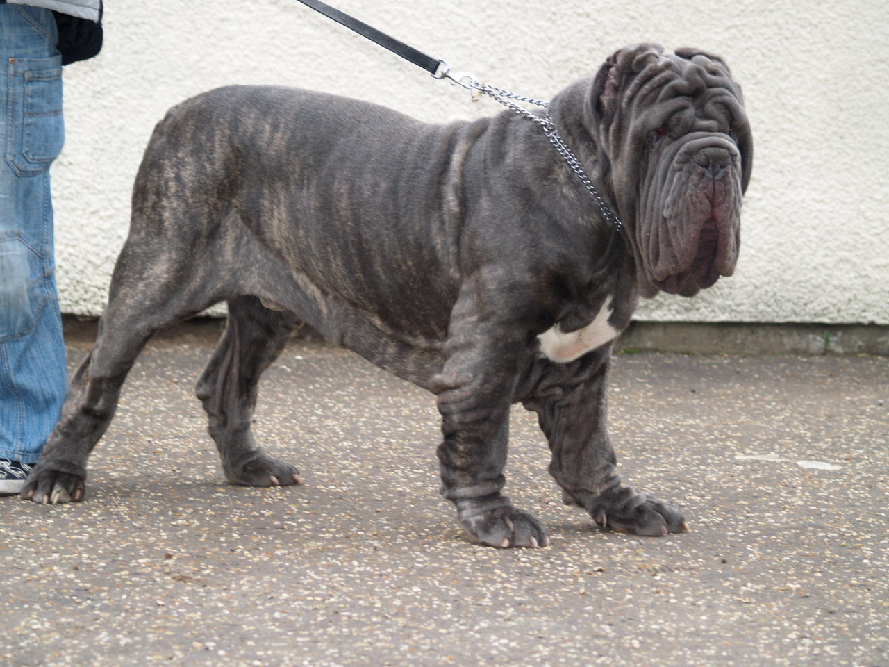 Rudy Dec 07 (1)