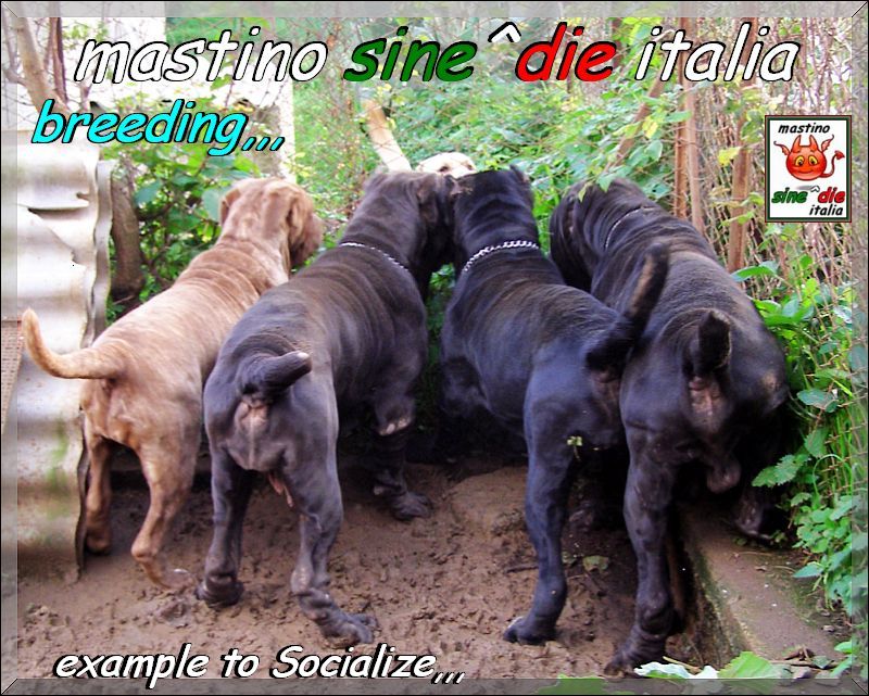 sine^die Group,,, example to socialize,,,