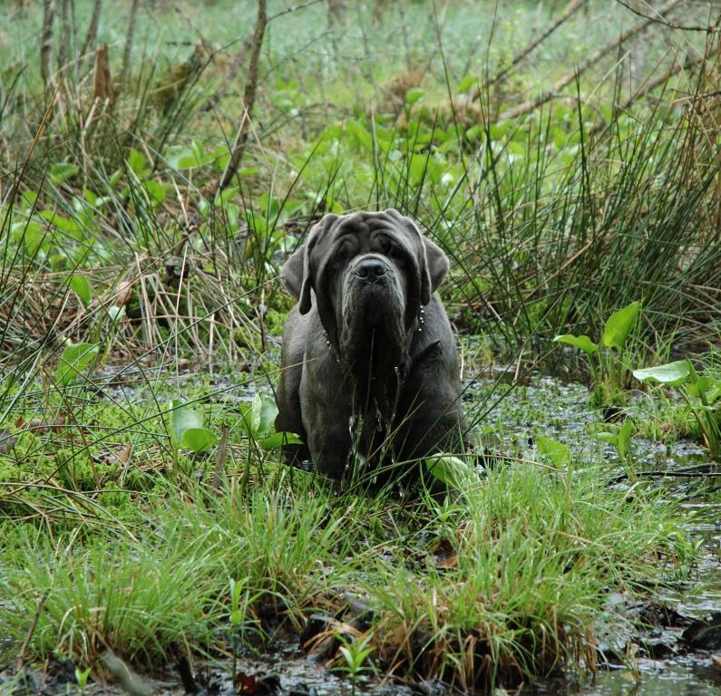 DSC_00540001 kopiera