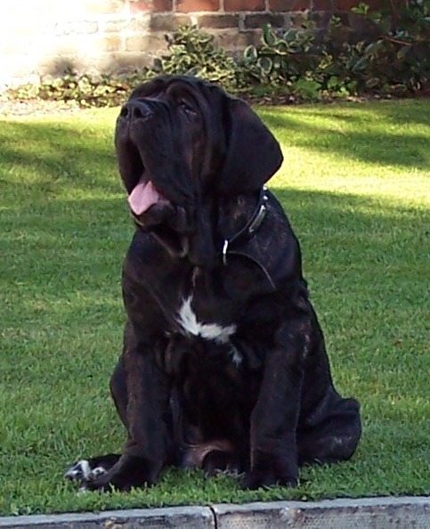 Copy of 25 08 2007 037