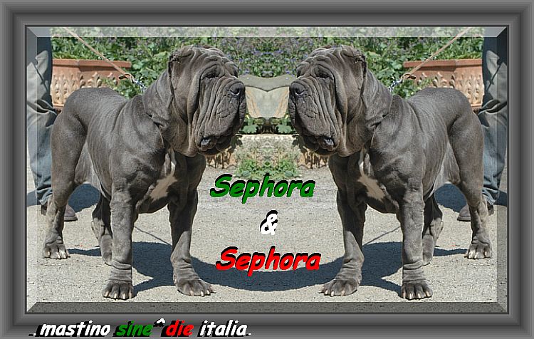 Sephora & Sephora.... 0260