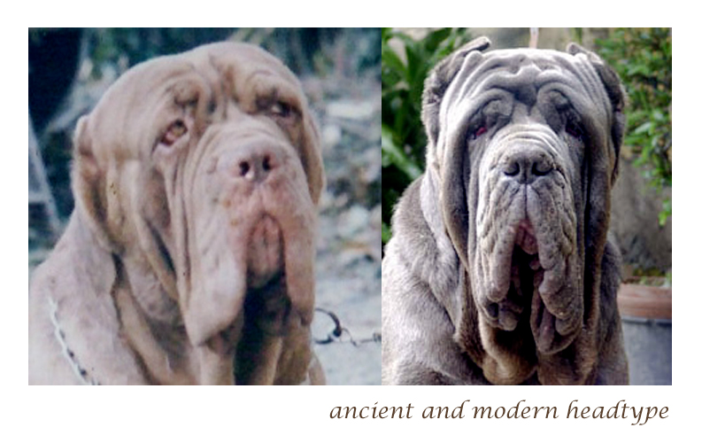 headtypes_web