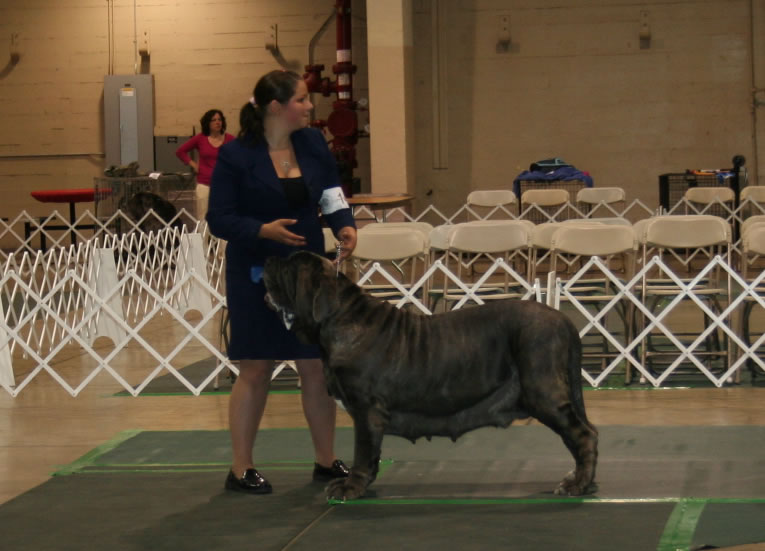 2010-Nationals-24