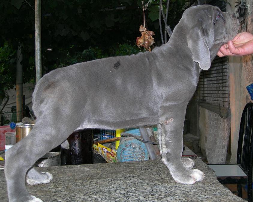 Sara 73 days