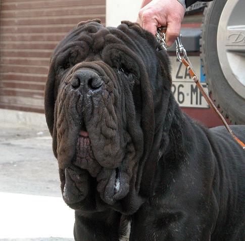 Sicano