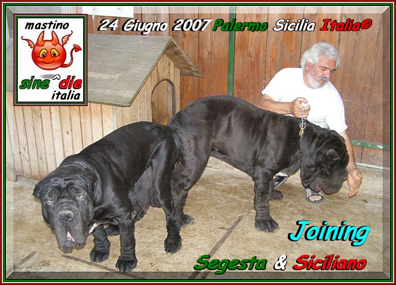 Segesta x Siciliano by sine^die,,, oo