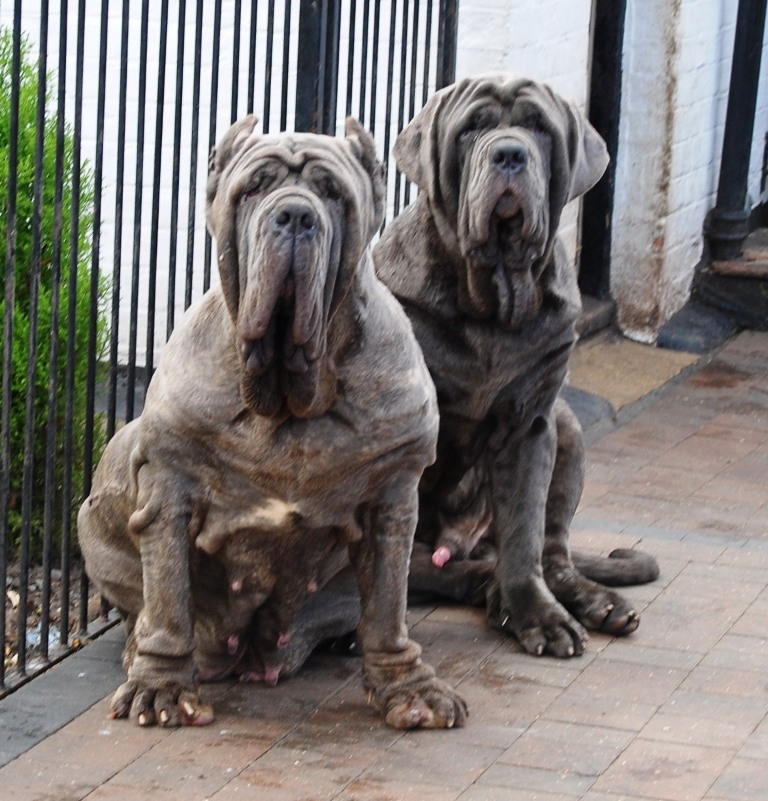 Copy of 15 03 2009 007