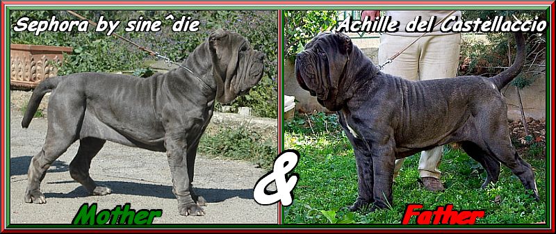 Sephora & Achille