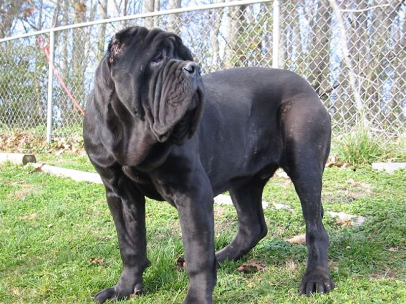 ArgodelaBahia4