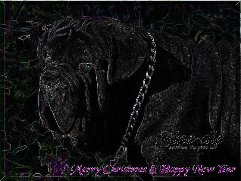 Merry Christmas & Happy New Year