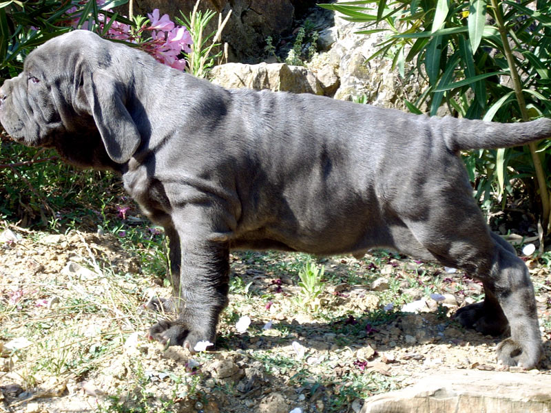 eccolo2