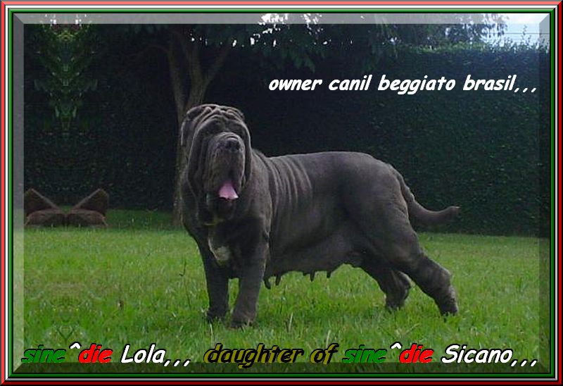 sine^die Lola,,, daughter of sine^die Sicano,,,