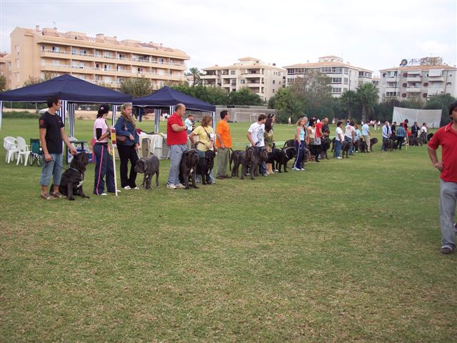 ATIMANA 2006 169