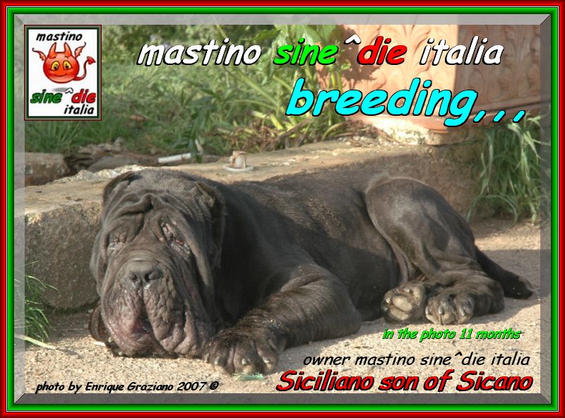 2007 sine^die visto da Enrique Graziano nella foto Siciliano by sine^die daughter of Sicano