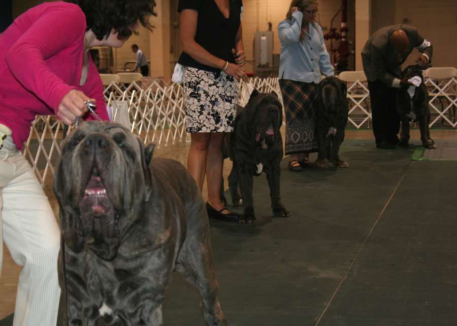 2010-Nationals-11