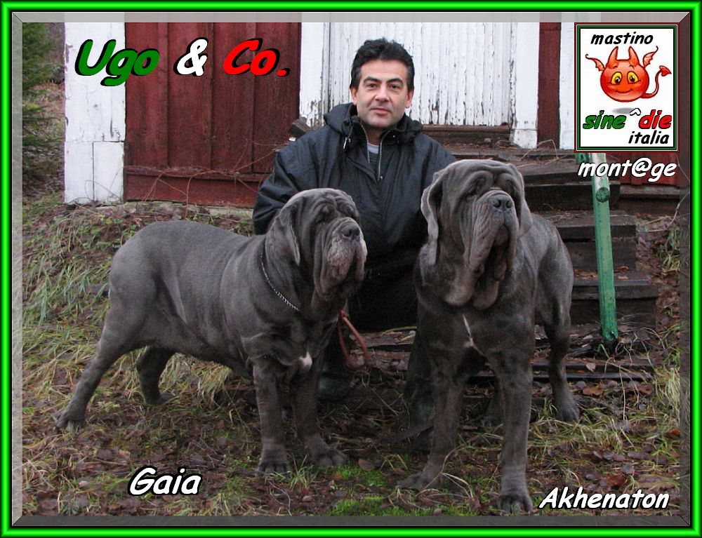 Ugo & Company,,, Gaia Akhenaton,,,