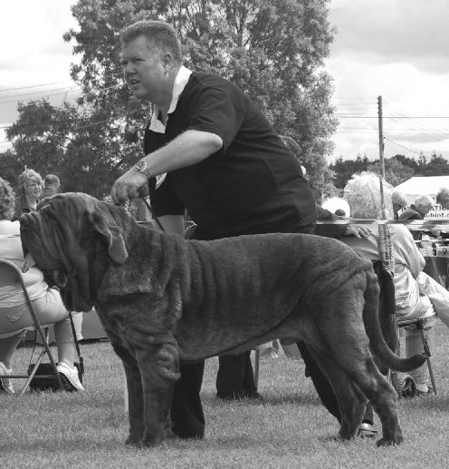 NWB B.O.B 2007 LEO