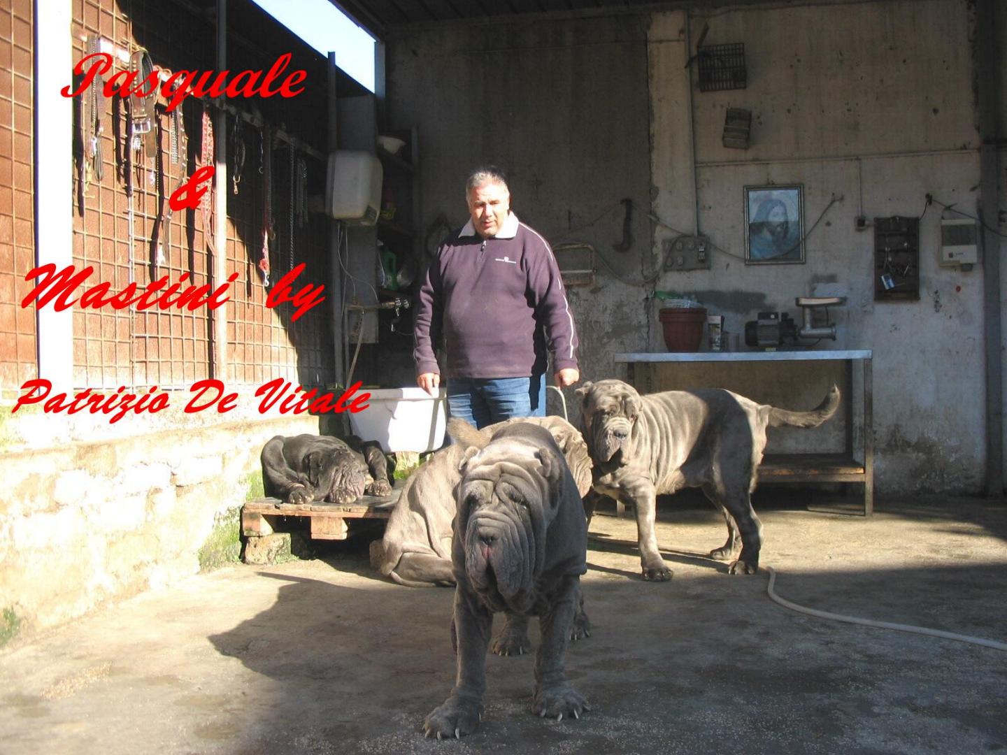 Pasquale -penelope-nikita-anita tzunami