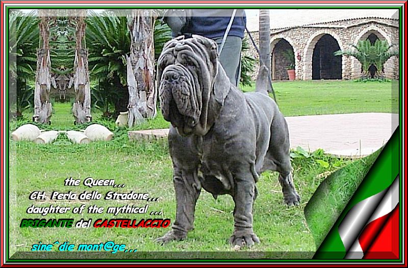 The Queen Perla dello Sradone,,, daughter of mitycal brigante del Castellaccio,,,
