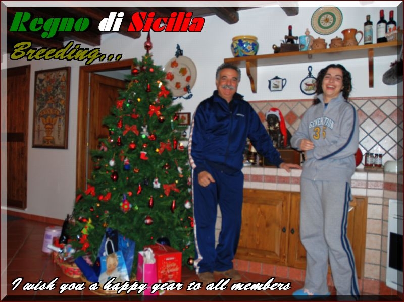 Regno di Sicilia,,, augura un felice anno nuovo,,,