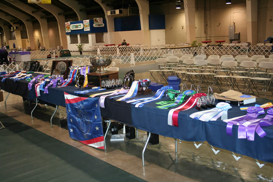 2010-Nationals