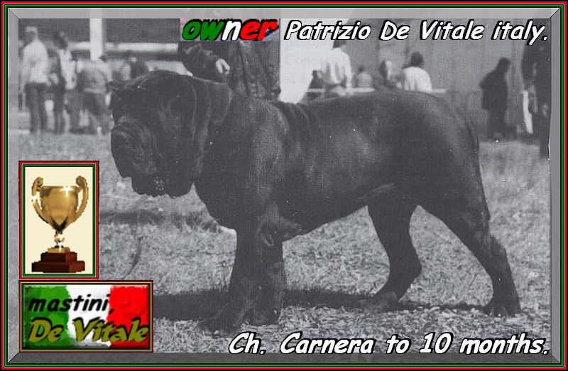 Carnera a 10 mesi