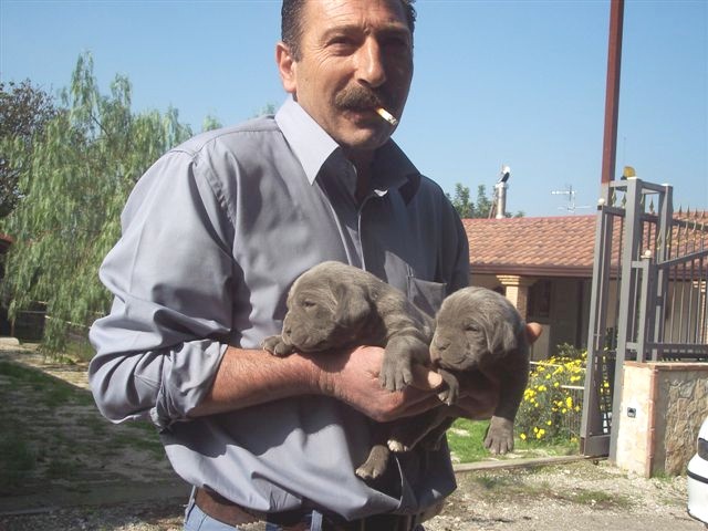 Vincenzo Manna with Bella & Luna, photo taken  Oct 05 by Steve Cox