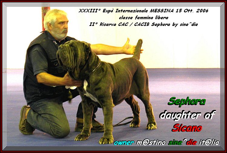 Sephora by sine^die II Res. CAC & CACIB
