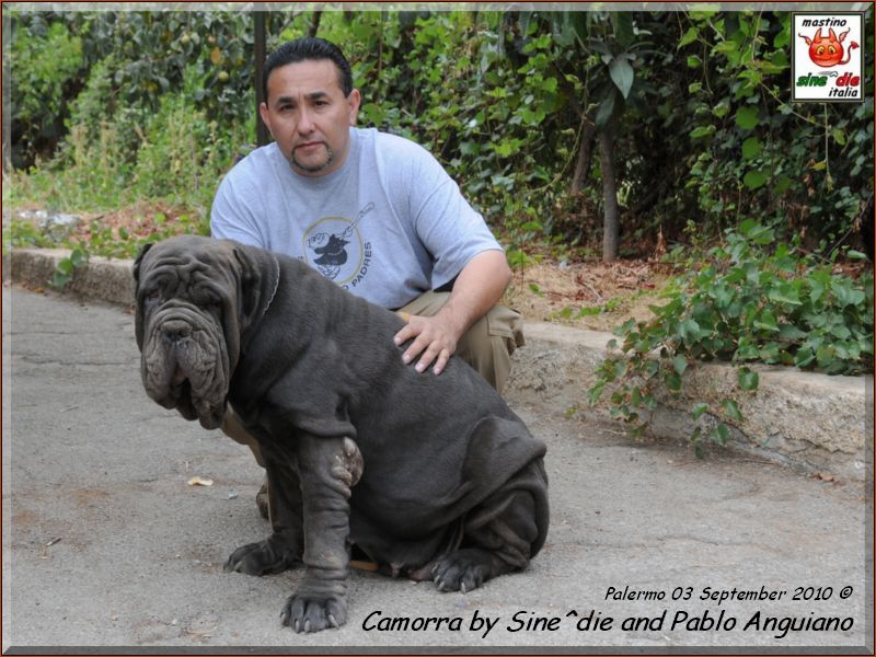 Pablo to Palermo,,,,,
