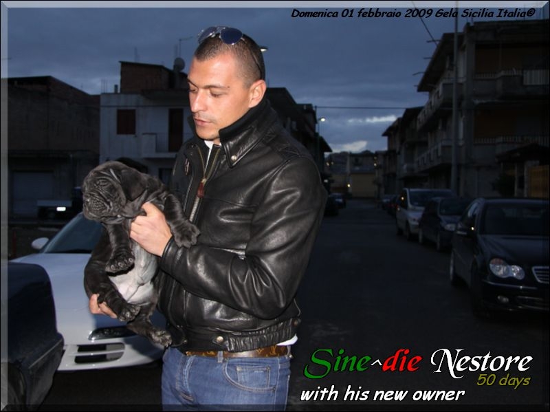 Nestore Sine^die whit new owner