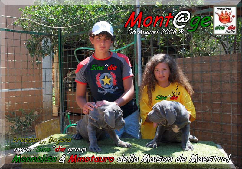 Monalisa & Minotauro with Daniele & Miriam Assumma