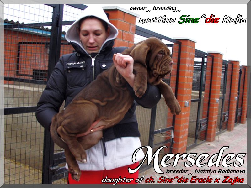 Natalya & Mersedes