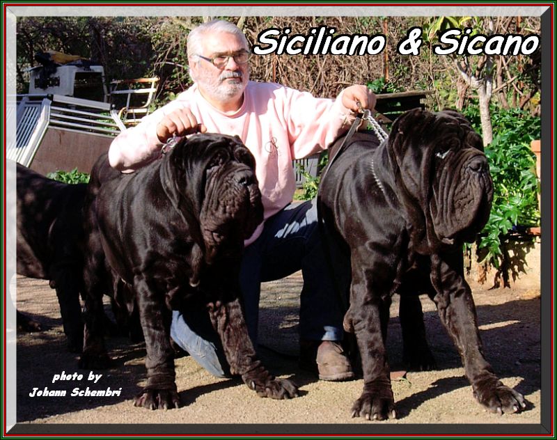 Siciliano & Sicano photo by Johan Schembri
