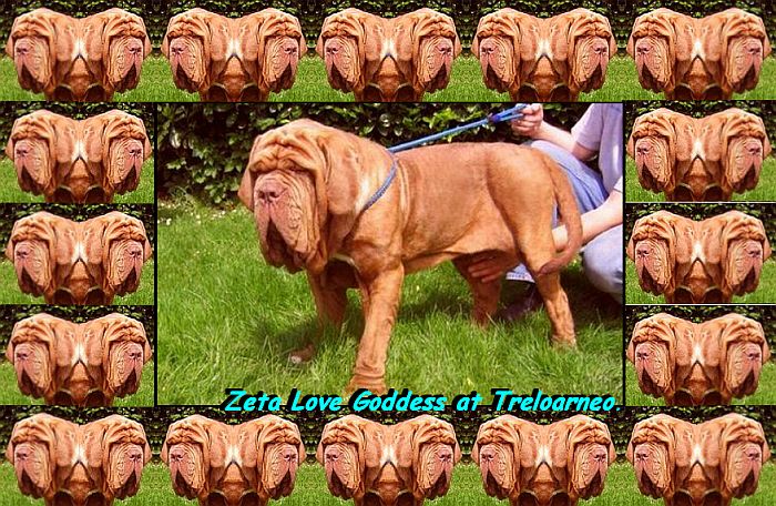 Zeta Love Goddess at Treloarneo