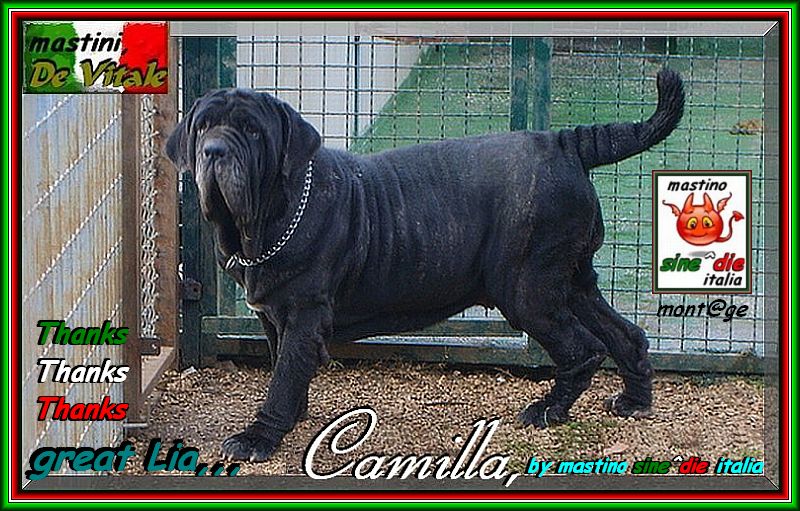 Patrizio Italia,,, TAITU' said Camilla,,,