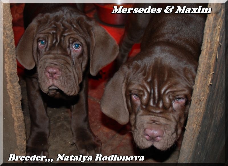 Maxim & Mersedes,,